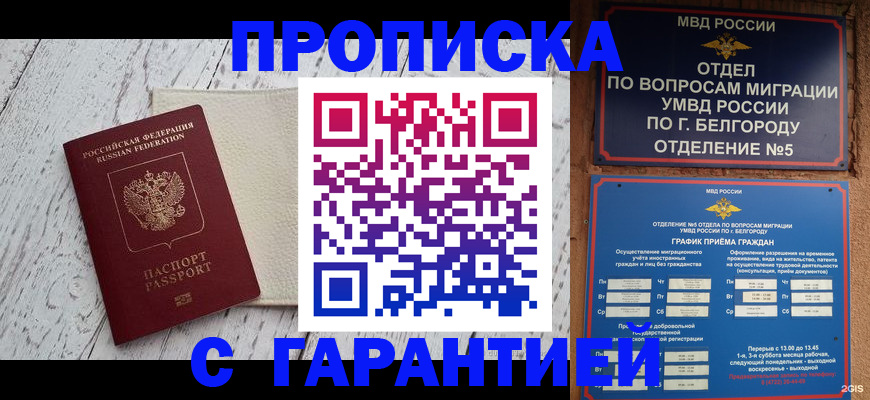 временная регистрация надежно в Новокузнецке